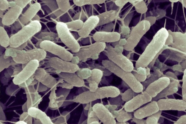 協會成功舉辦第五屆“投教夏日行 防非健康跑”內蒙古轄區證券期貨行業健步行活動